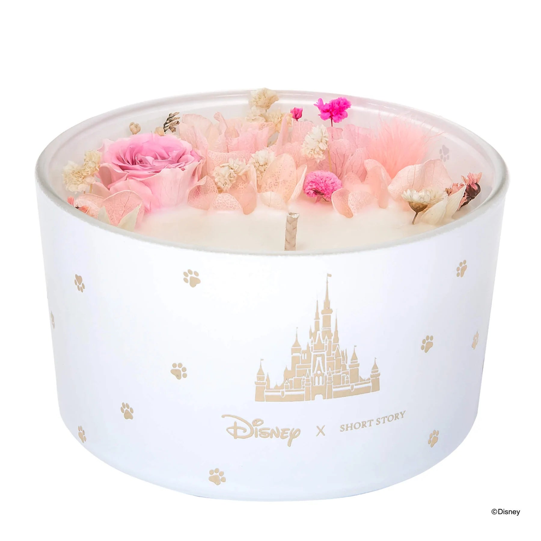 Short Story - Disney Candle Marie