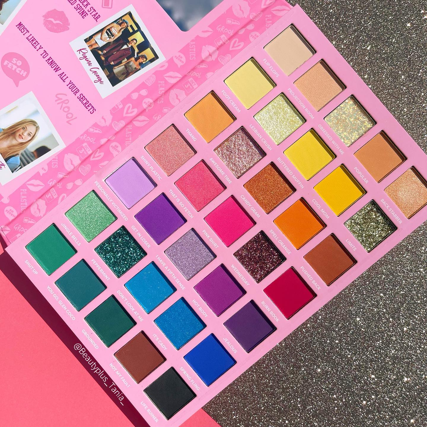 Profusion - Mean Girls North Shore High School Year Book Palette