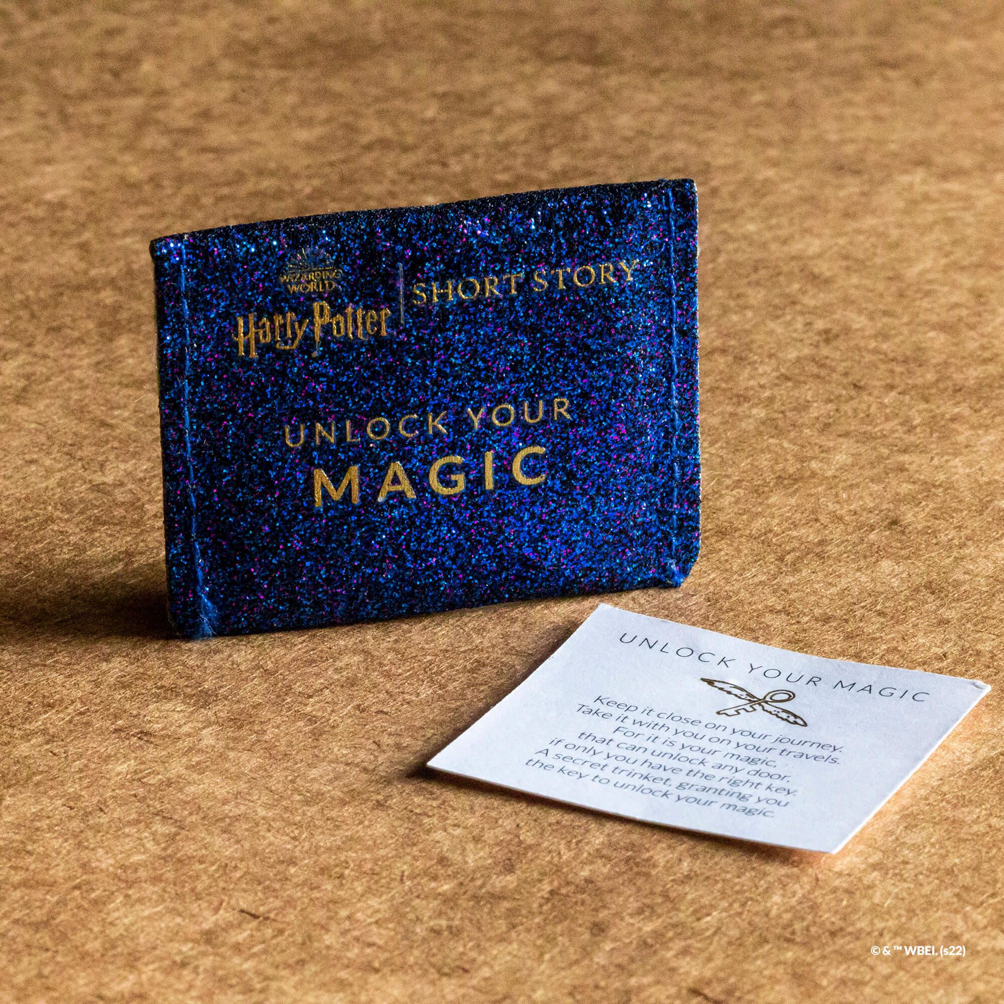 Short Story - Harry Potter Trinket Pouch Winged Key