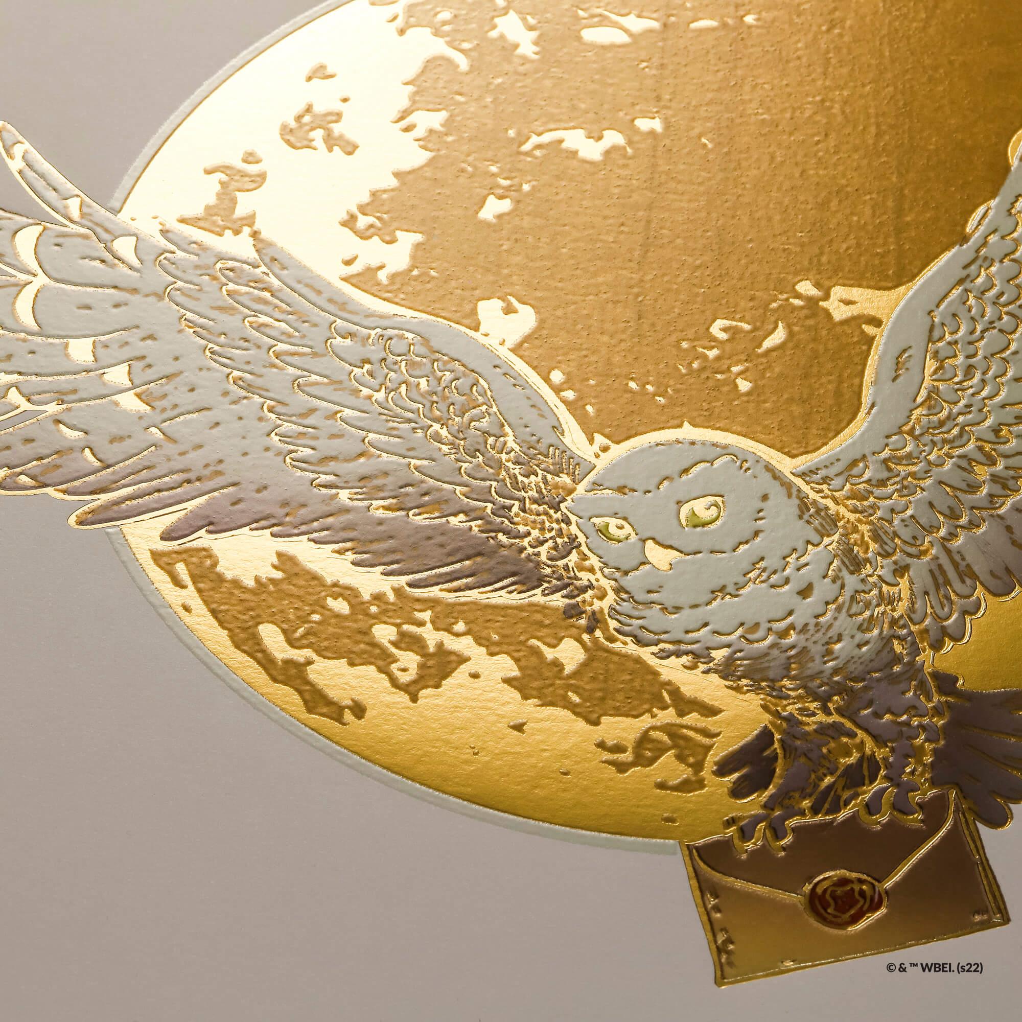 Short Story - Harry Potter Large Artwork Hedwig
