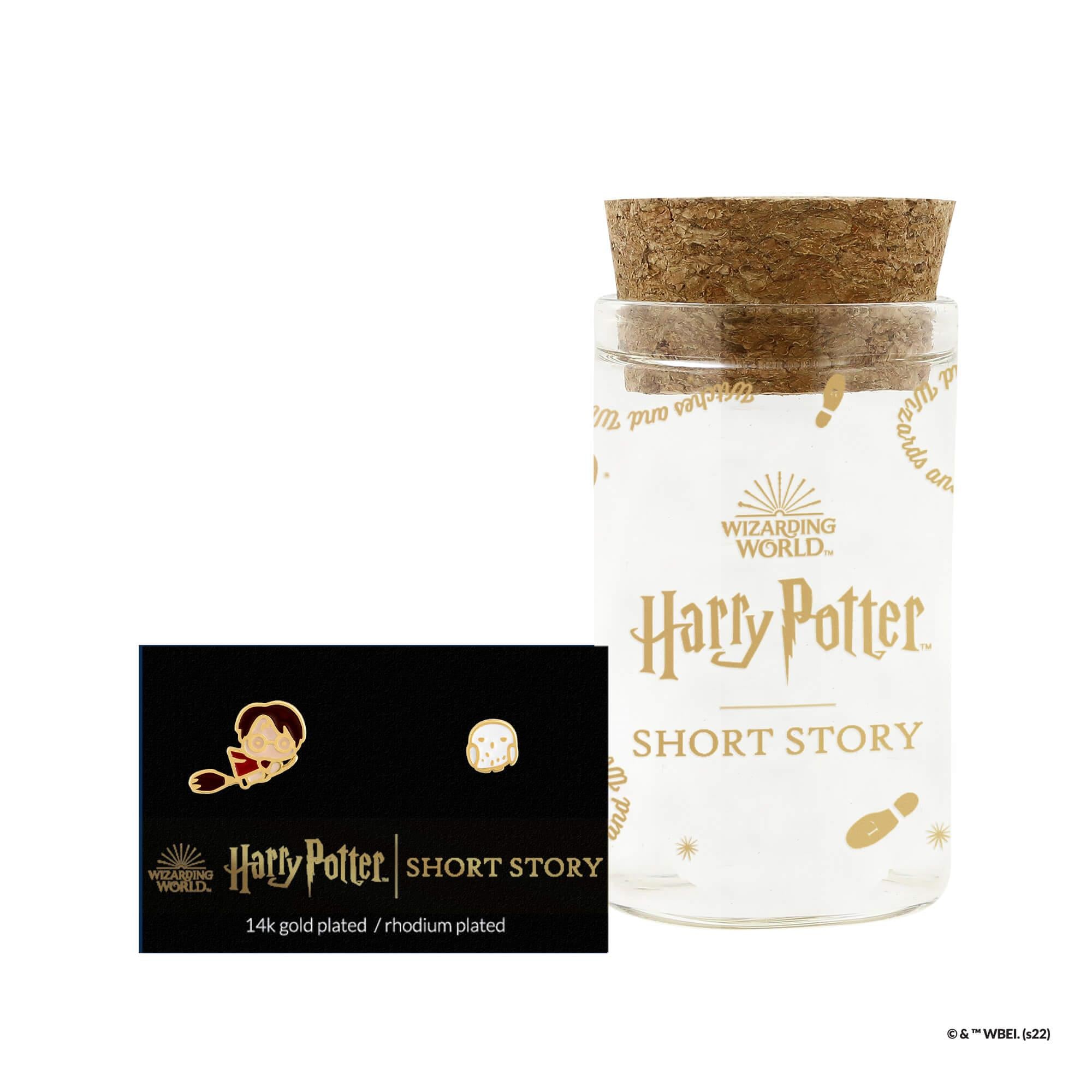 Short Story - Harry Potter Earring Epoxy Harry & Hedwig