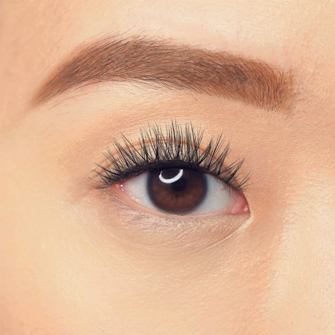 J.Lash - Dainty Babe Lashes Peachy