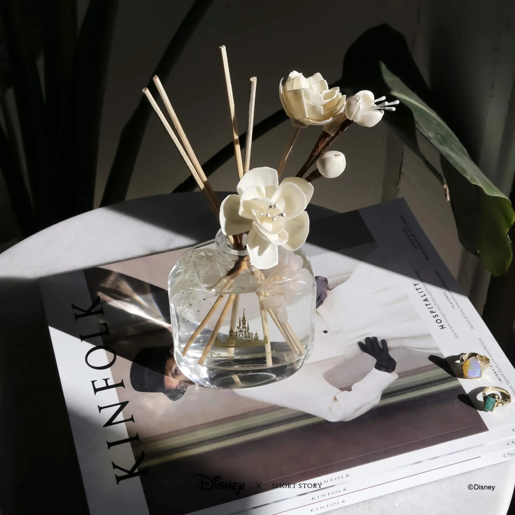 Short Story - Disney Diffuser Princess Deluxe Edition