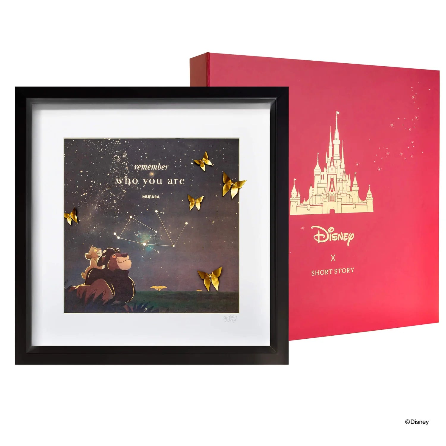Short Story - The Lion King Black Frame The Stars