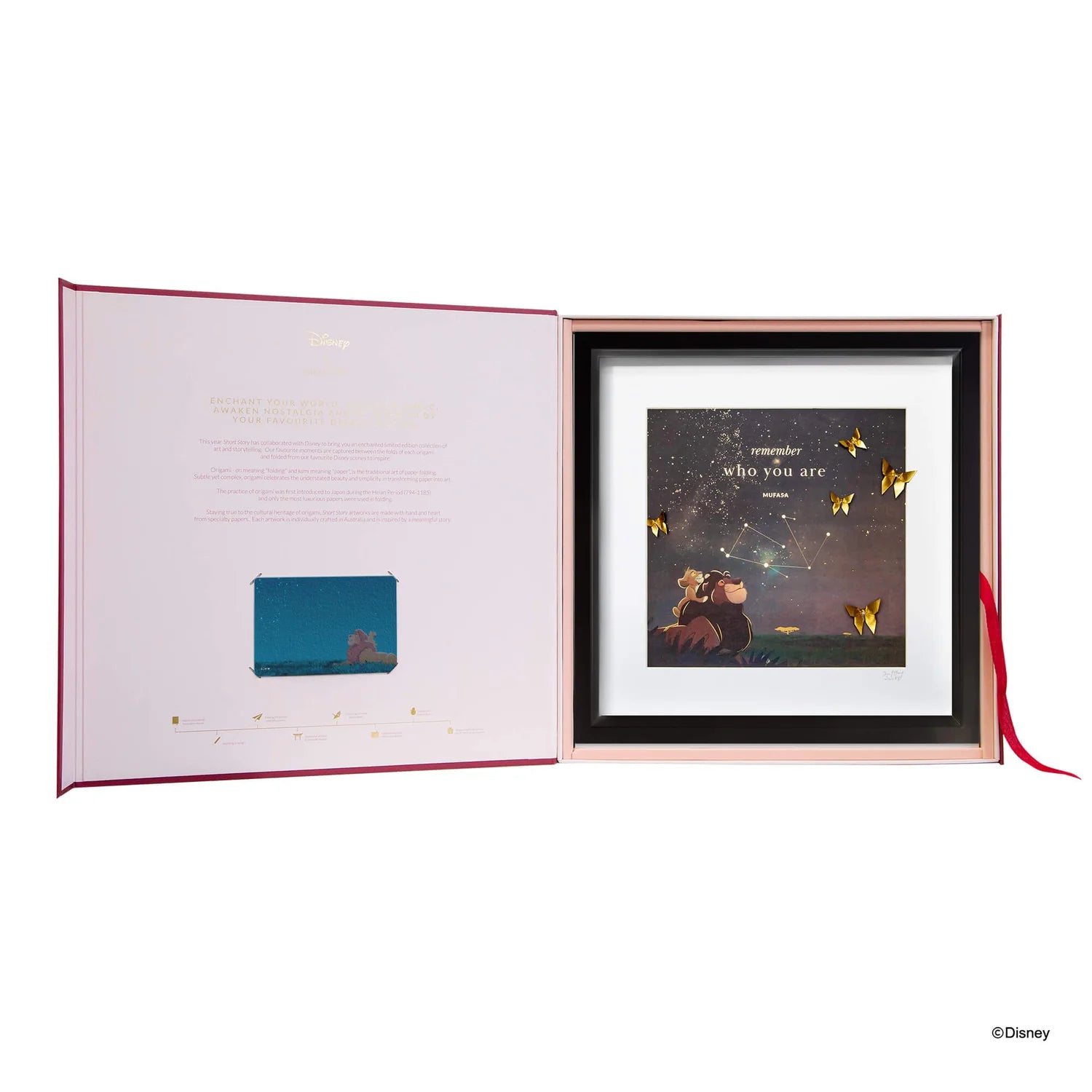 Short Story - The Lion King Black Frame The Stars