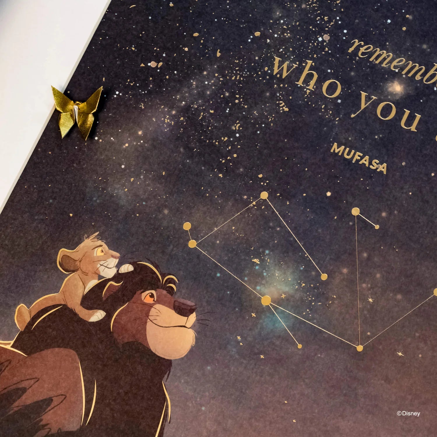 Short Story - The Lion King Black Frame The Stars