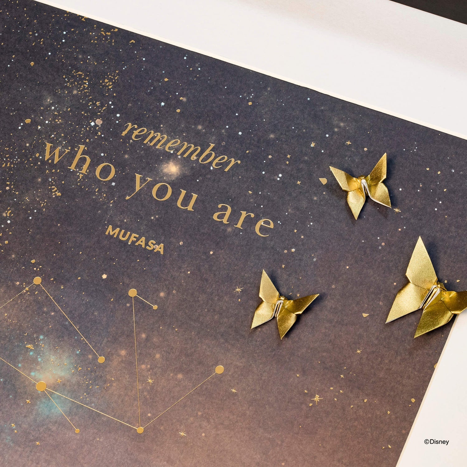 Short Story - The Lion King Black Frame The Stars