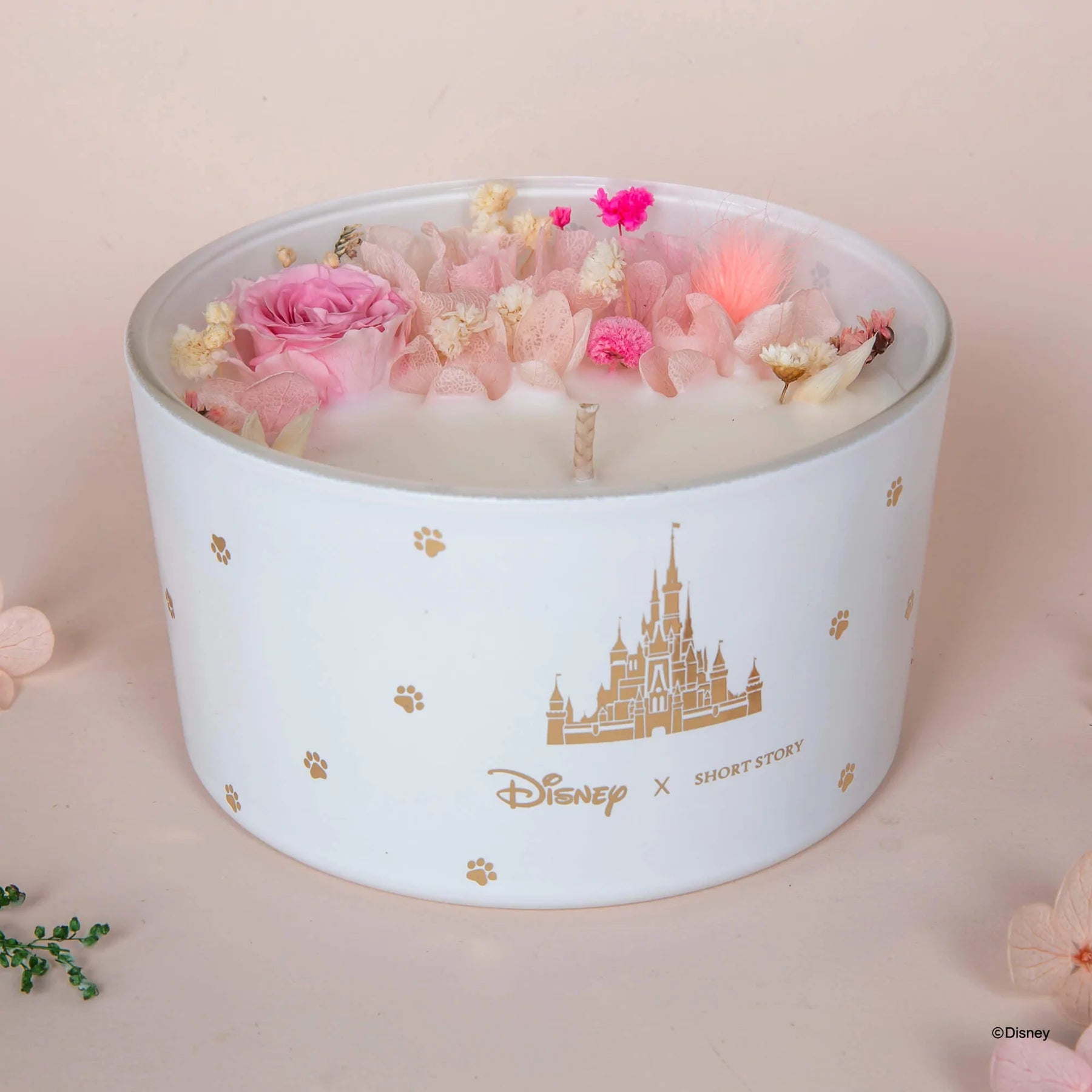 Short Story - Disney Candle Marie