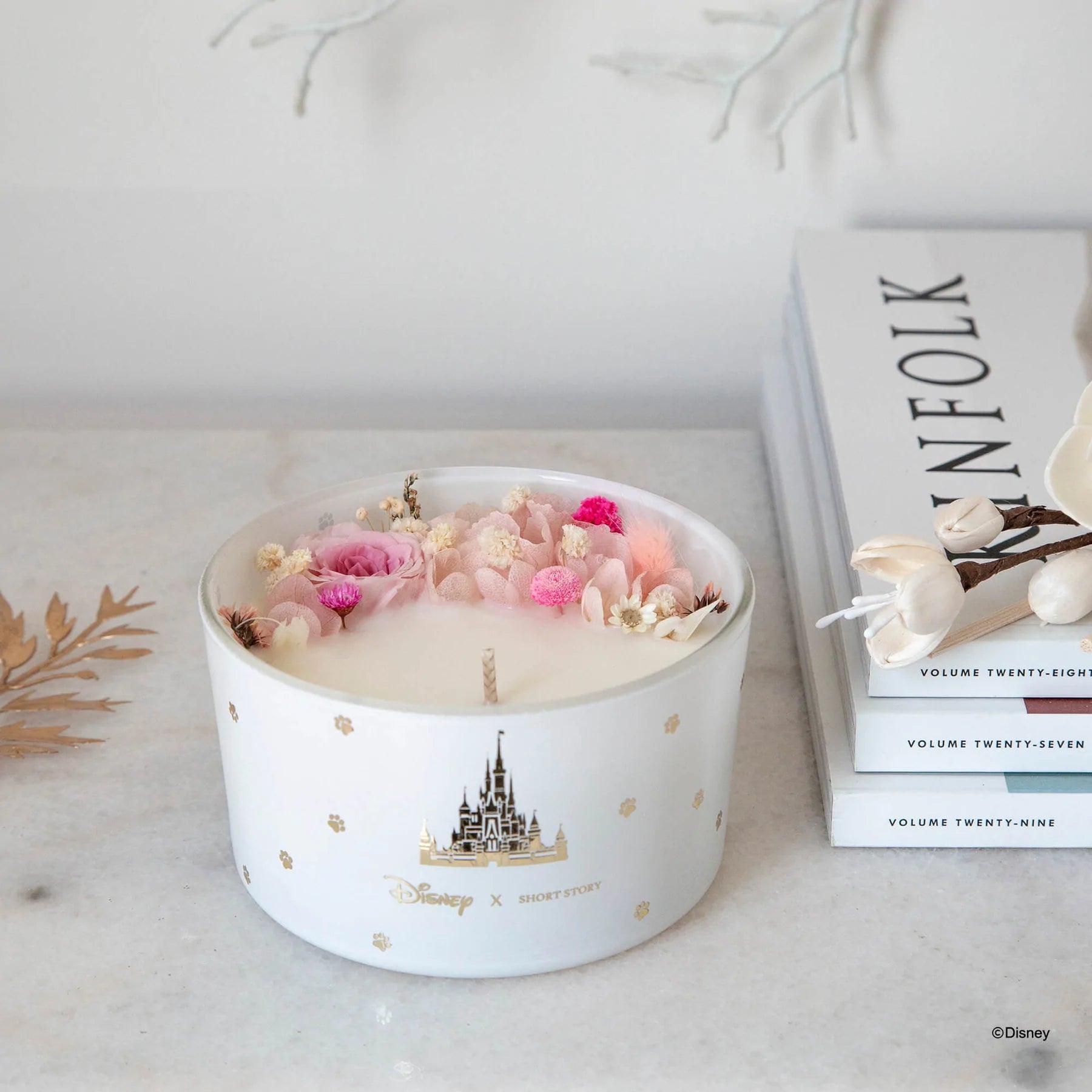 Short Story - Disney Candle Marie